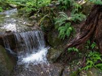 Im Themenbereich Waldgärten